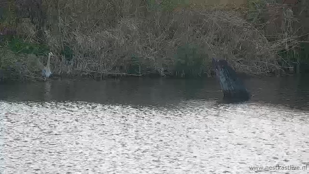 snapshot 2026 04 05T190730 377