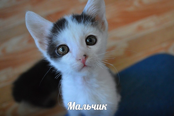 DB694D28-4A5B-4429-A278-2392FBFF8404