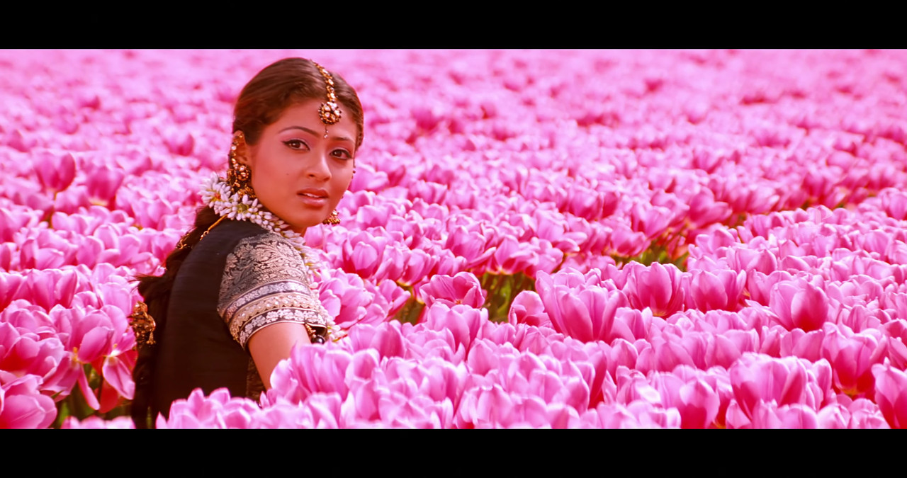 VideoCapture_20241122-200717