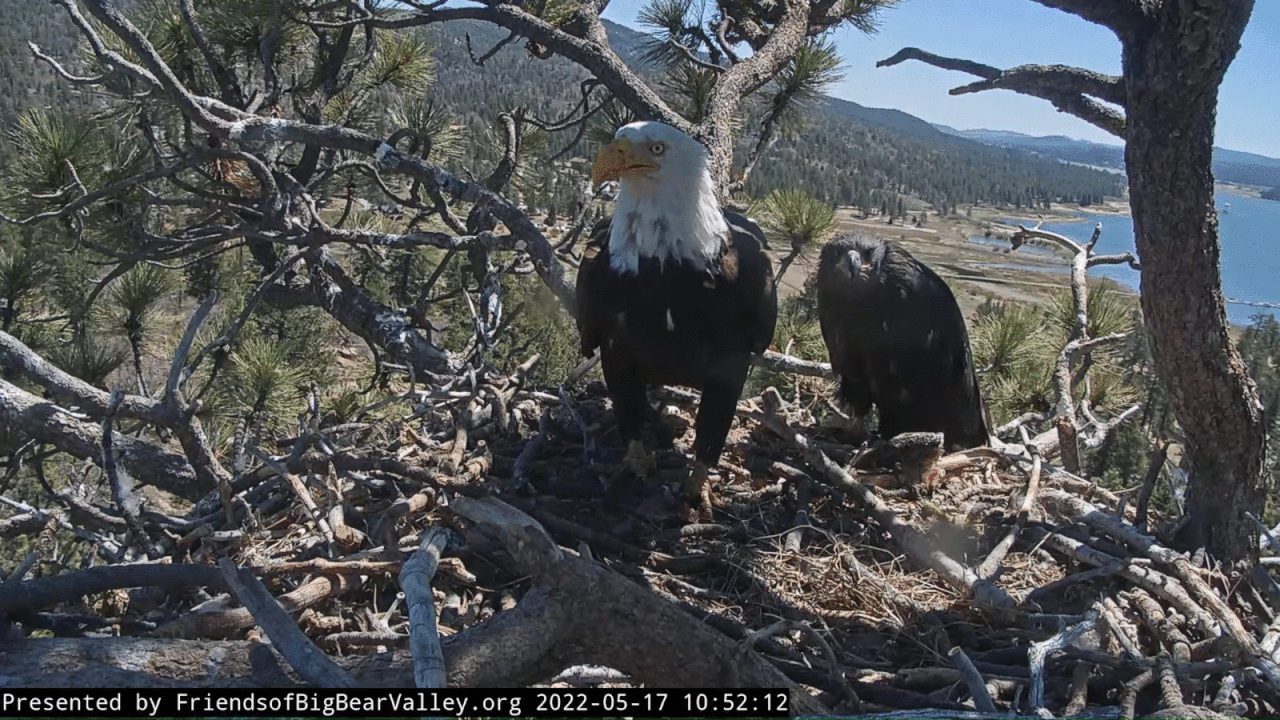 Webp.net-gifmaker (4)