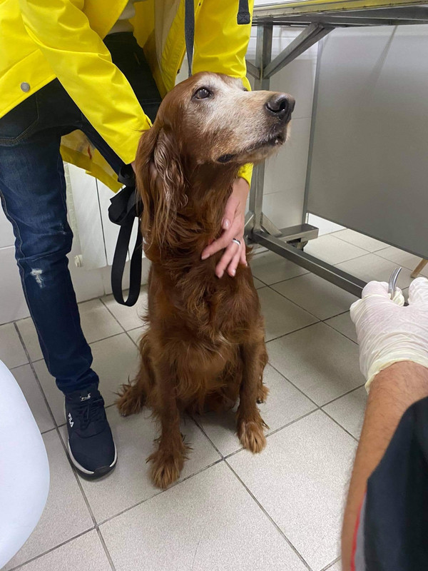 DF52FE0A-D05F-4417-8CE6-377367FC3610