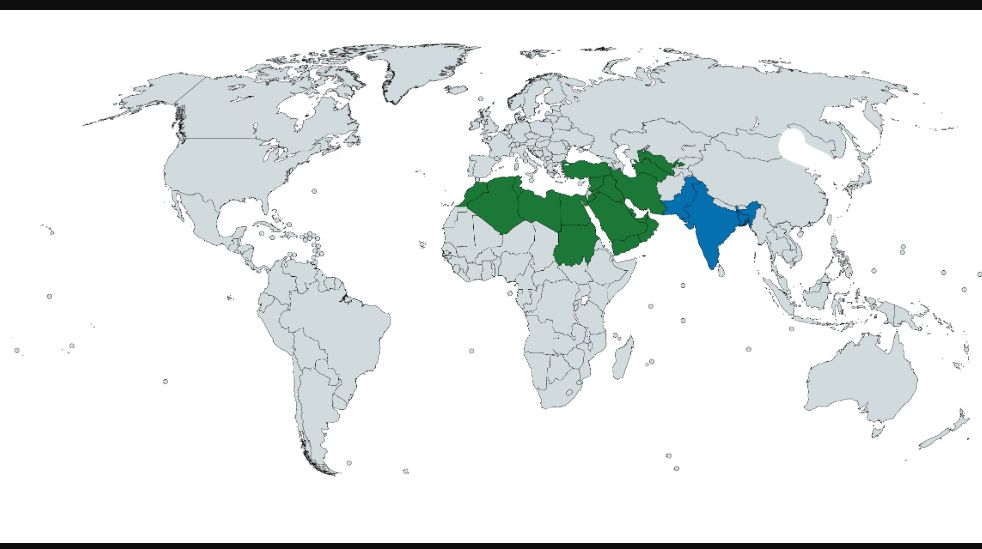 Карта мусульманских стран