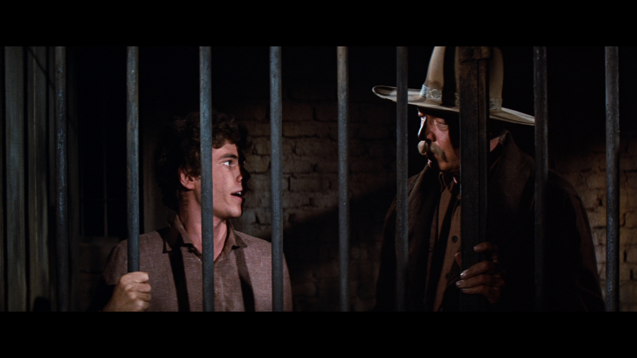 vlcsnap-2023-11-05-19h38m51s744