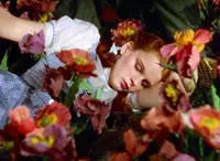 Dorothy-Poppies098c5707.jpg