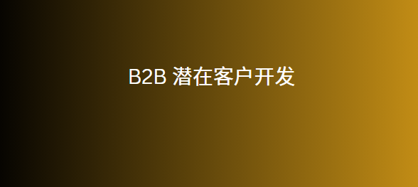 B2B 潜在客户开发