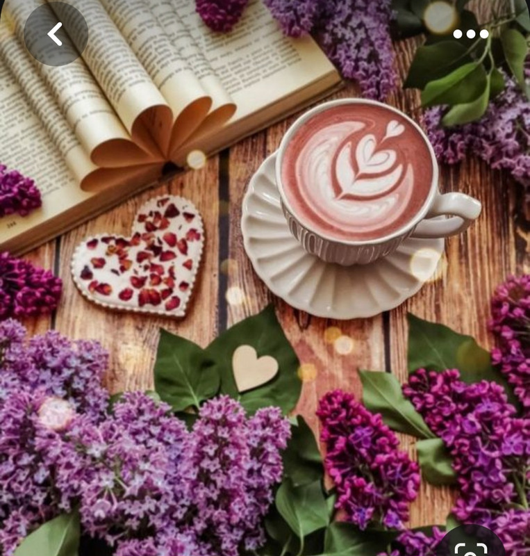 Screenshot_20230712_012123_Pinterest