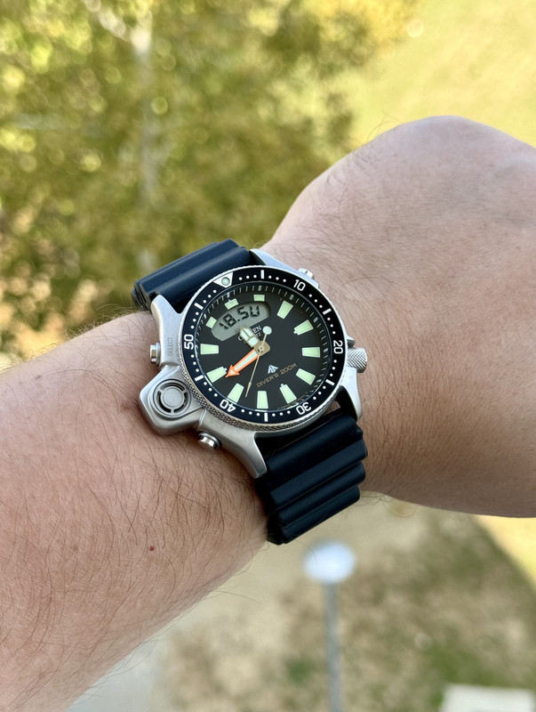IMG_6147