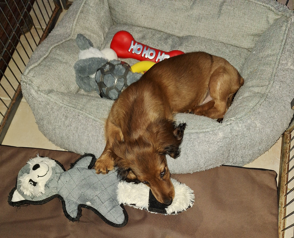 [Image: 20240929-210647.jpg]