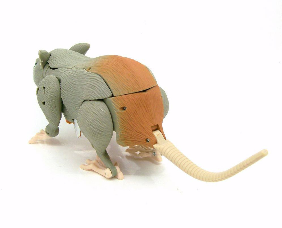 1547968_776287565724775_9180515466236940901_o