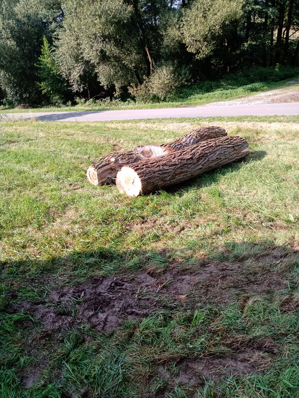 IMG_20240919_145248333