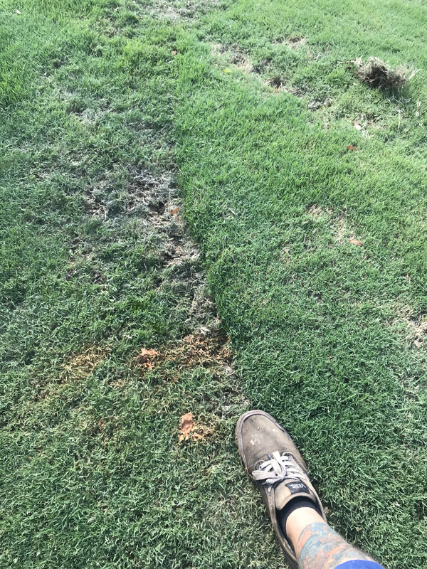 2A325D2B-4DAC-421A-A713-7438A2FE3C11