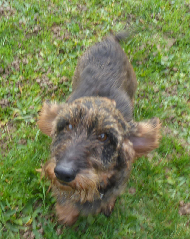 [Image: P1040056.jpg]