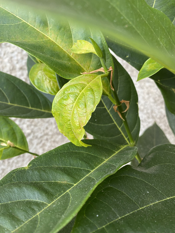 0A104D8B-3919-479B-B2B1-799A48D91E32