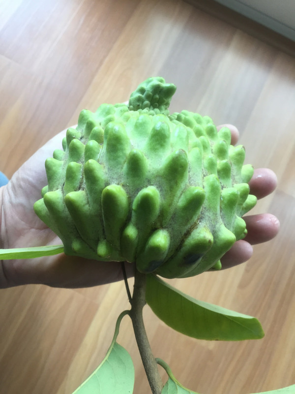 B511A29C-E65D-4425-9D78-BC956EE86DE4