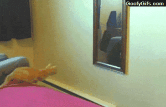 GIF-20250610-080513-116.gif