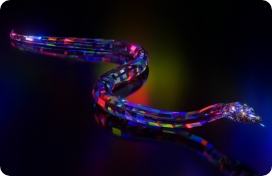 Obsidian Snake
