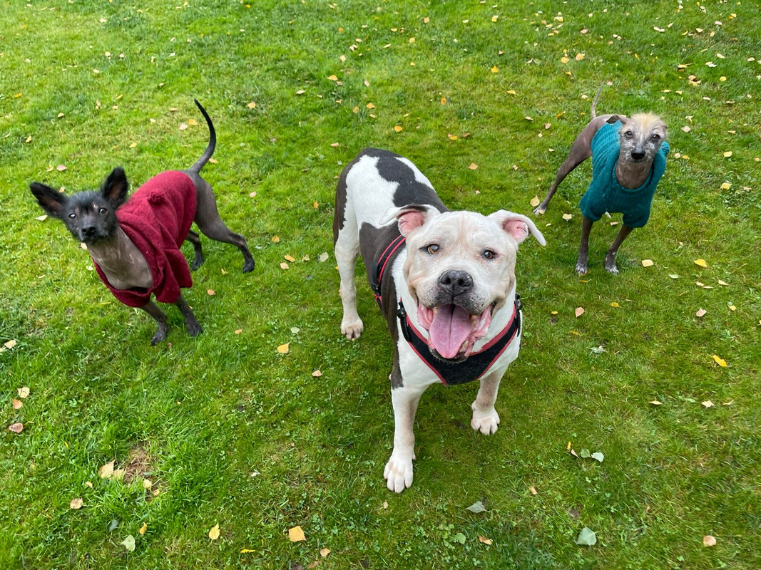 AA15B4AB-6803-4A41-88E5-E124DAFDEB17