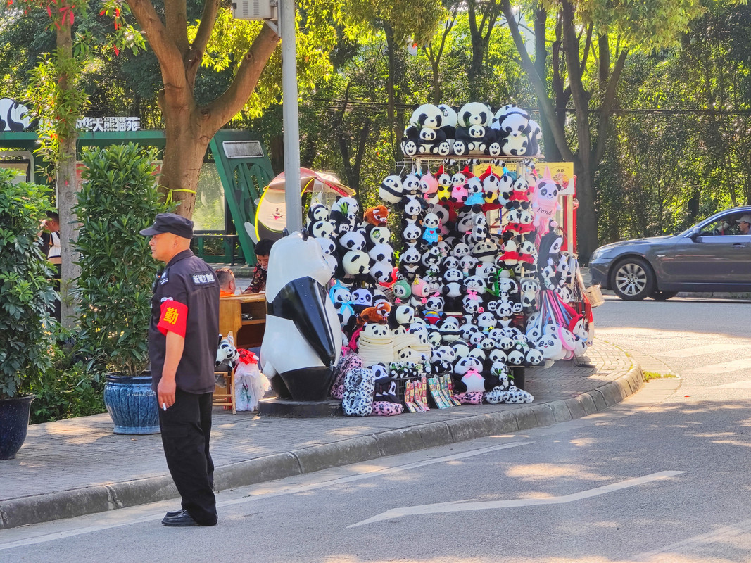 IMG_20230513_085718_副本