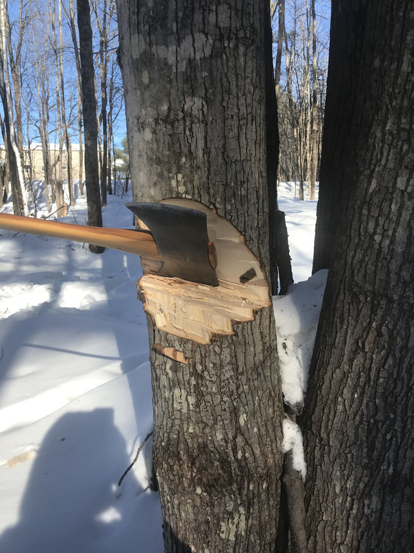 37B808AF-258C-46AC-88EC-D60AA402C4AA