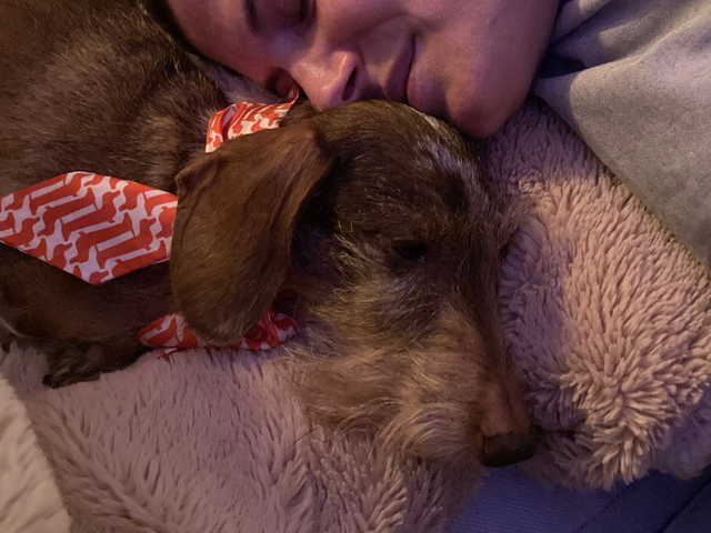 [Image: 418-B9-F6-F-8596-4833-A694-897-ED2989056.png]