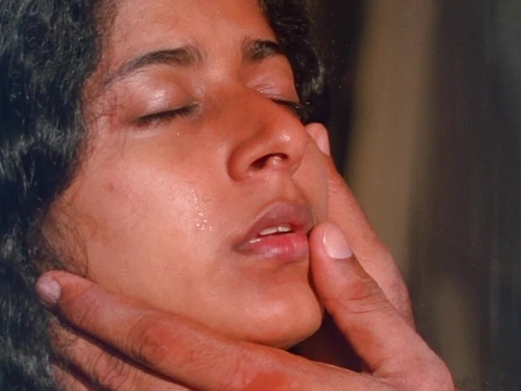 vlcsnap-2023-01-28-22h25m36s312