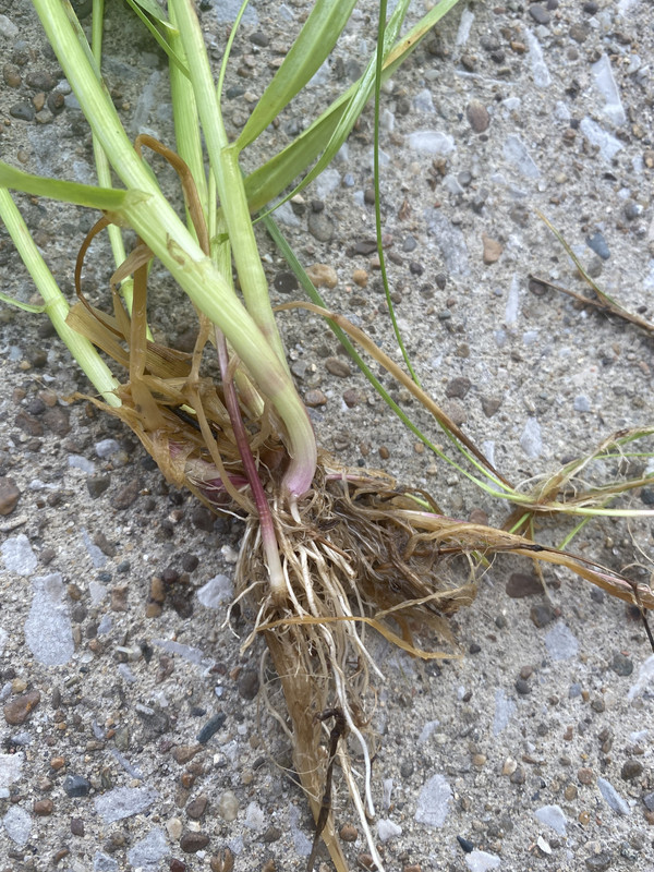 0C544C14-0144-4328-BC3A-61064AEBD9D6