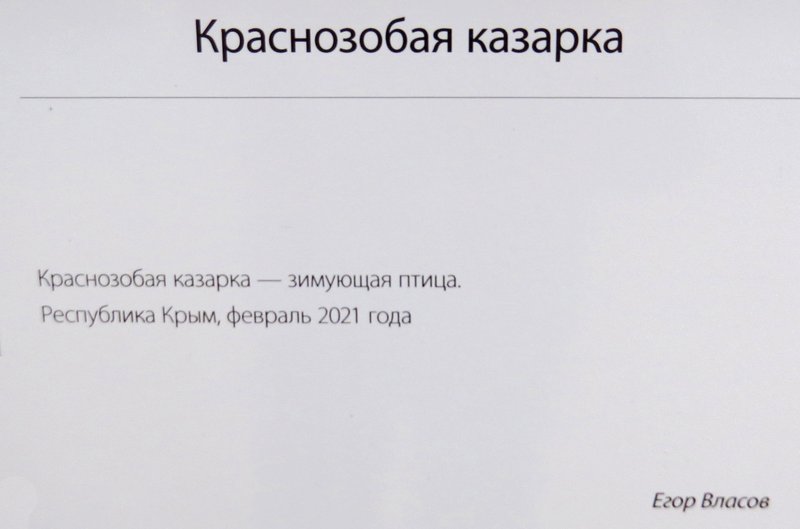 https://i.postimg.cc/vZvHYkDt/IMG-9286.jpg