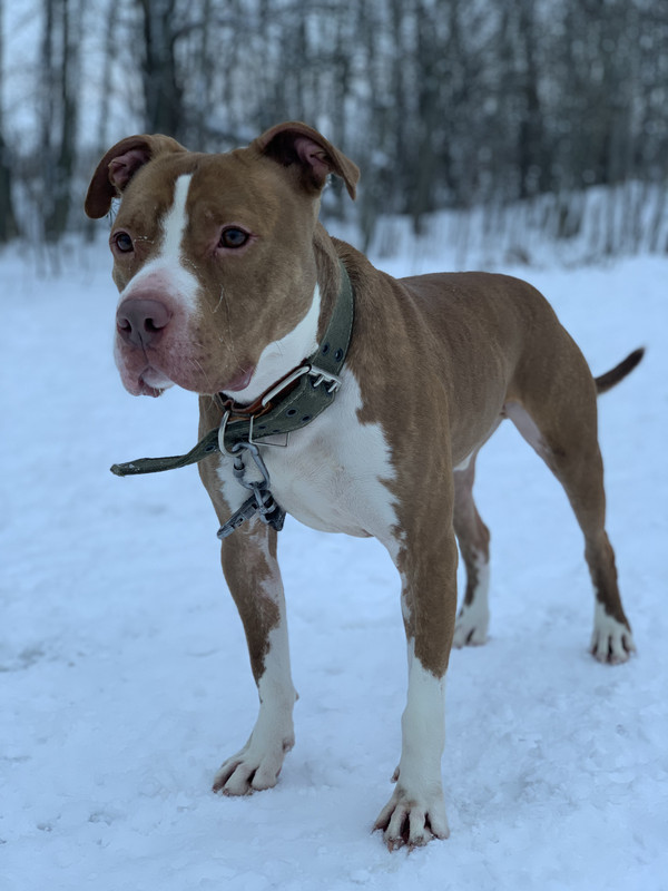 ED7492D0-9E19-4C7C-A247-696554480FA1