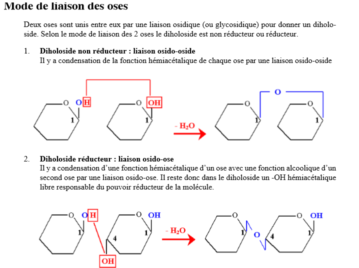 biochimie