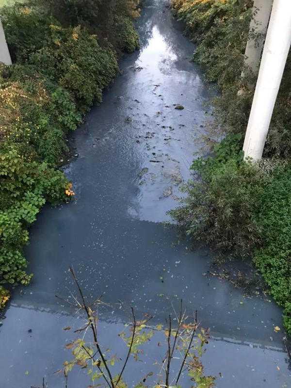 FB_IMG_1539032368638