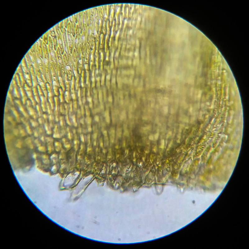 IMG 20250614 204125 HDR