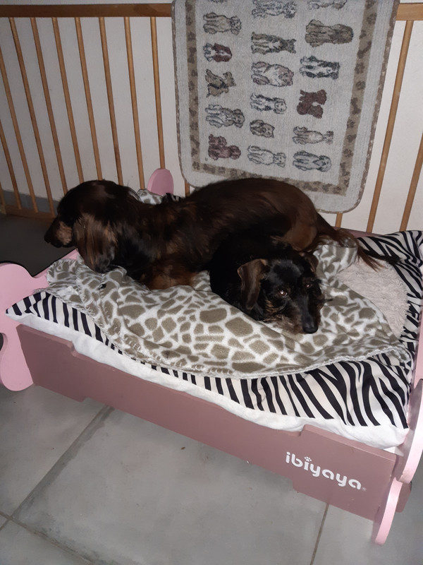 [Image: 20221206-160949.jpg]