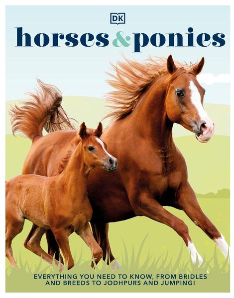 [Kép: Horses-Ponies-Everything-You-Need-To-Kno...umping.jpg]