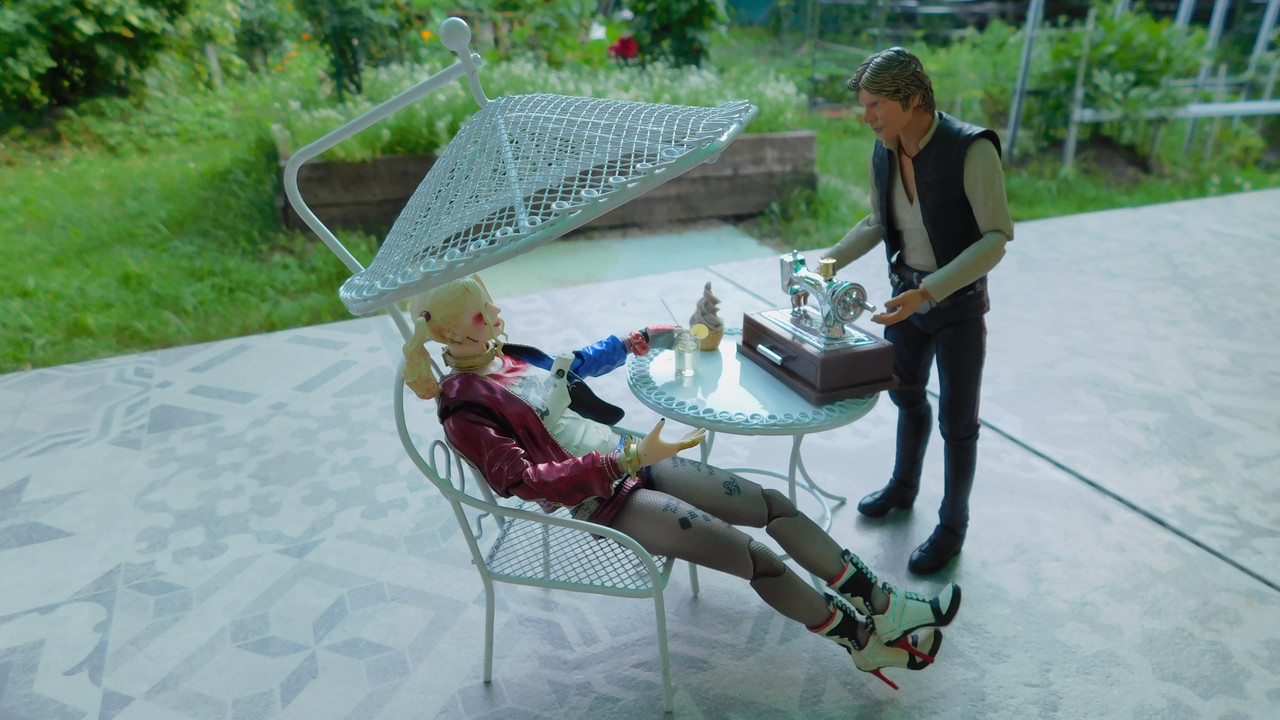 Дачно-Харлинский июнь-июль 2024 090