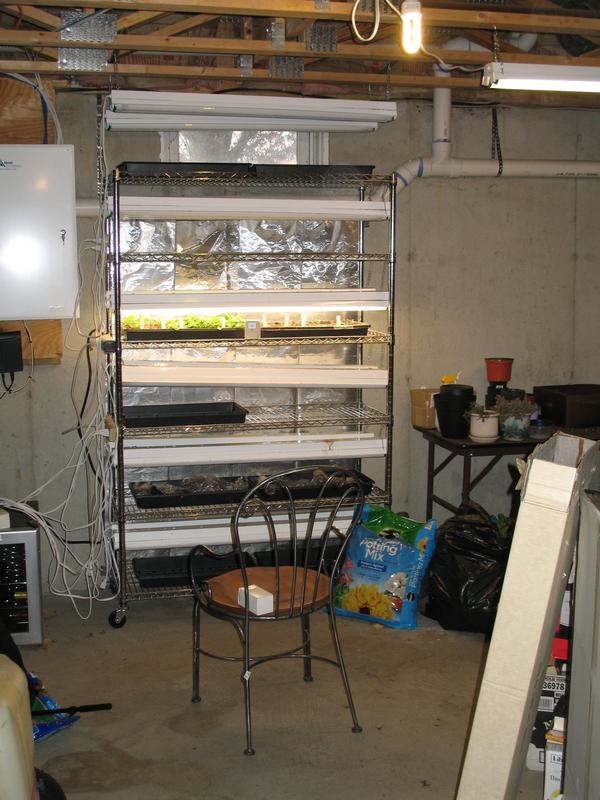 Sprouting Plants 03.10.2018  (4)