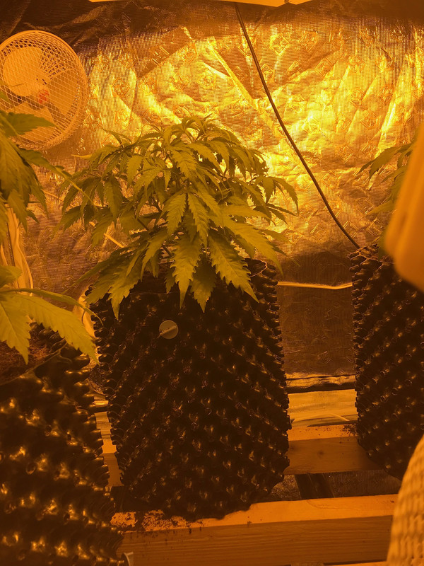 147D8158-2A41-4F6F-9828-A13FB7C5DD77