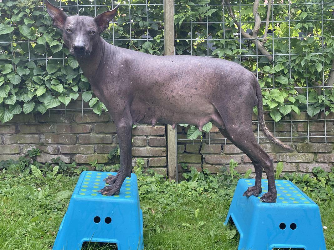 AC6DFA13-692C-4C76-B871-4AE3B9CB45E6