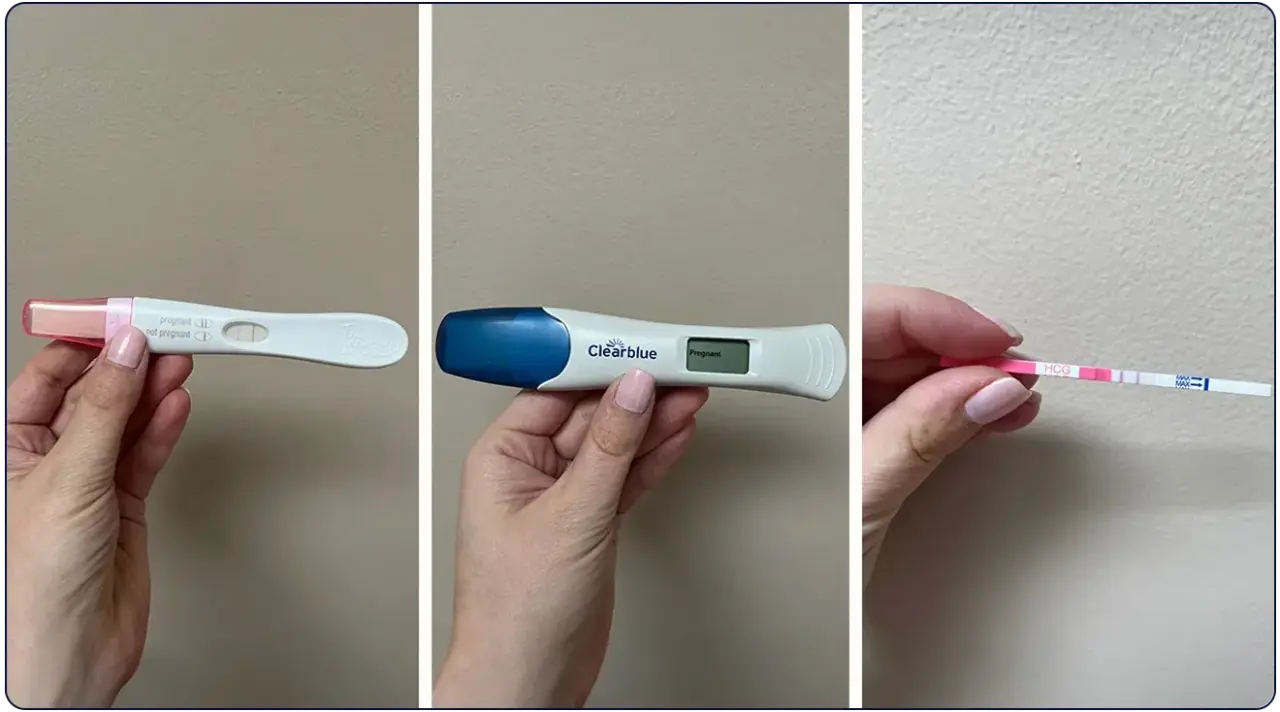 Types of Clearblue Pregnancy Tests
