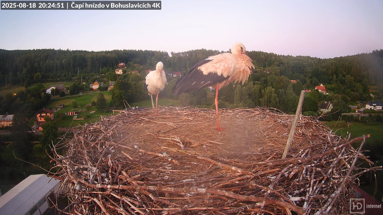 Tiešraide no KARA uzņēmuma stārķu skursteņa Bohuslavicē netālu no Trutnovas 12-45-43 screenshot