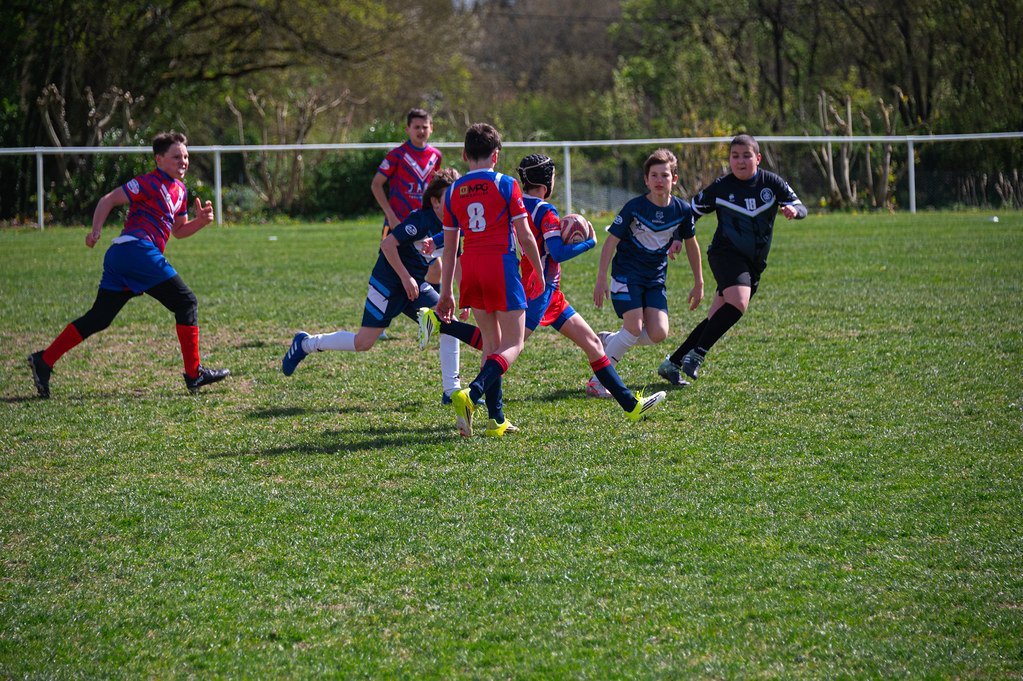 tournoi-de-latlantique-2026-adonis-griffon-10-55181550604-l