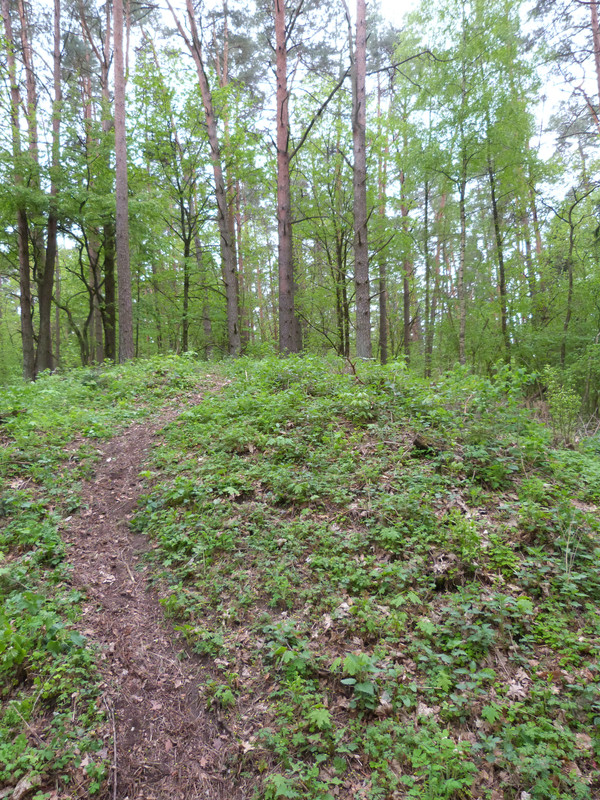 13.05 - P1110048 (Yvonne)