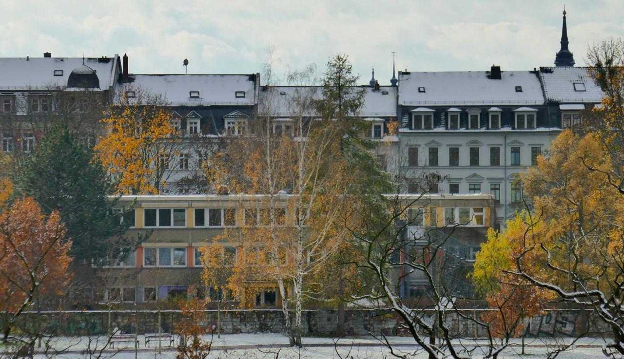 P1130144.jpg