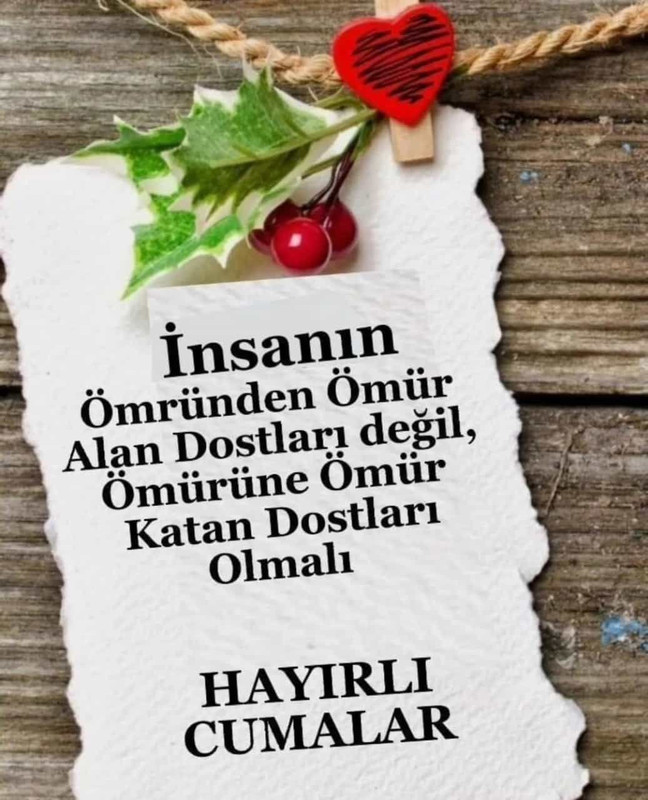 resim