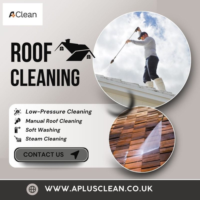 Roof Cleaning