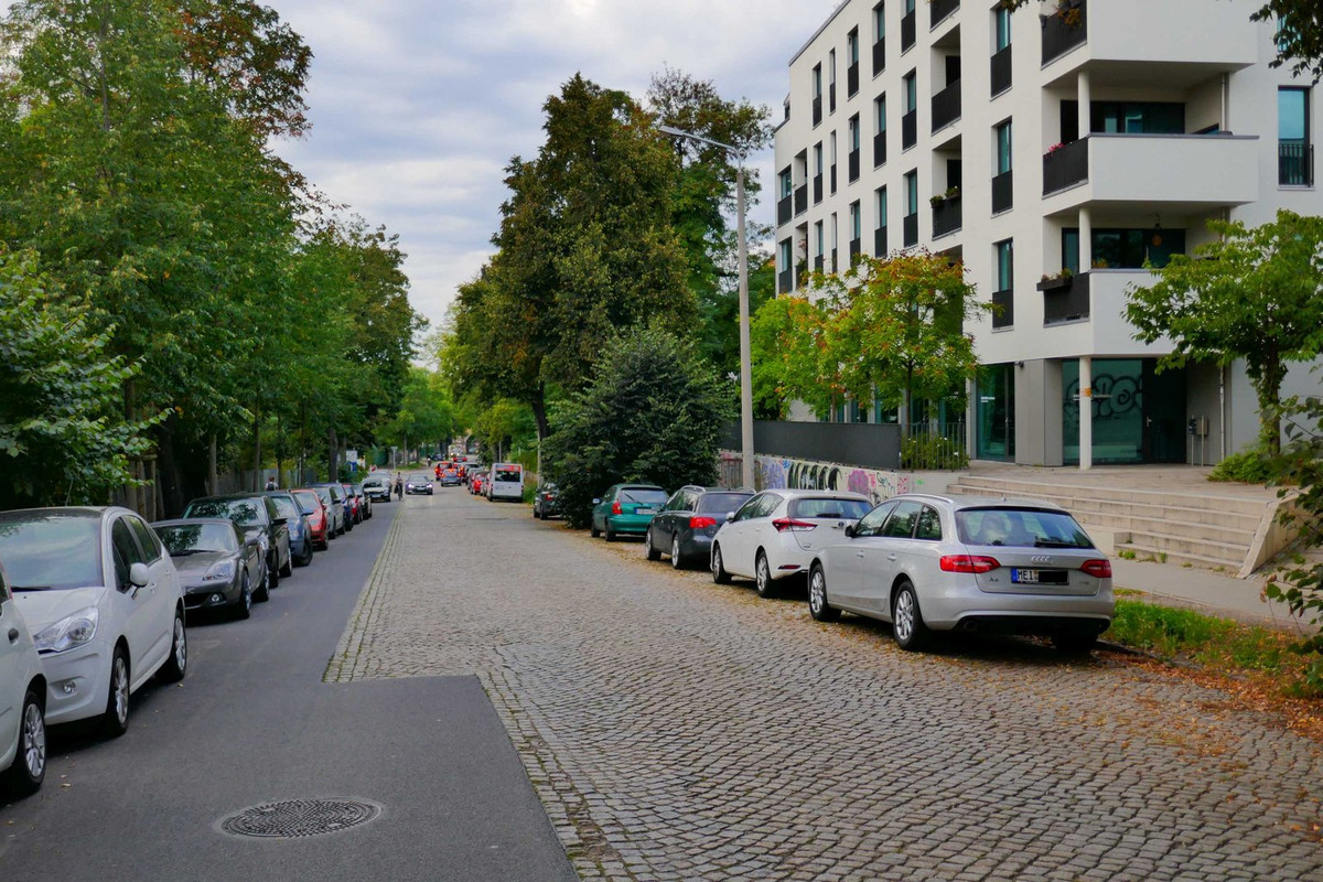 P1300503-tannen.jpg