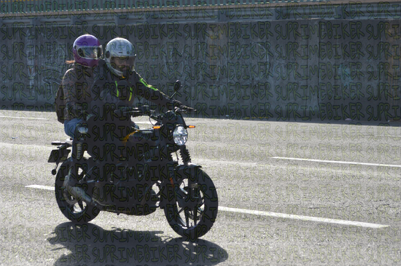 DSC 0042