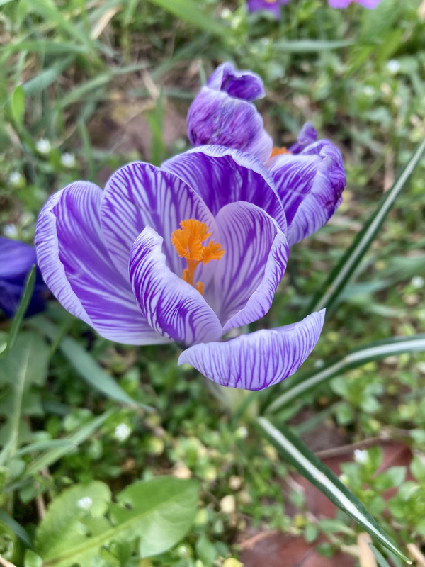 58172A07-A50C-414E-9CCA-5318E206AF1B