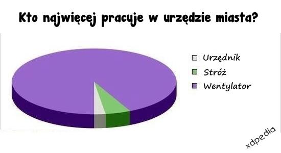 kto-najwiecej-pracuje-w-urzedzie-miasta-3983.jpg