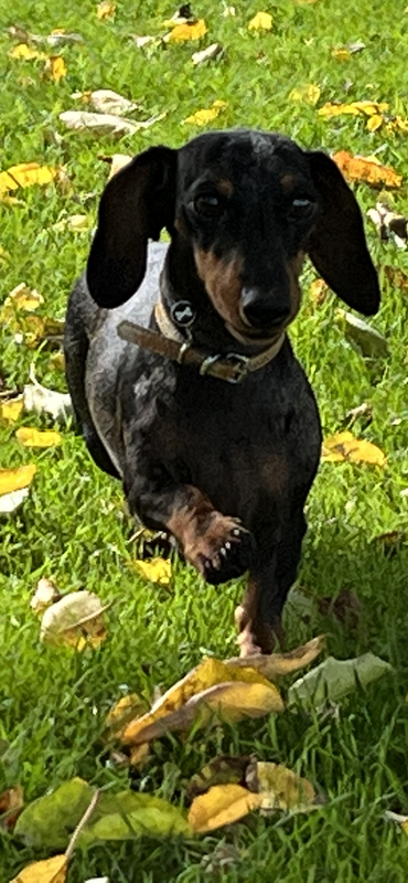 [Image: 10-C1973-F-BEB8-431-D-9-FCC-BD7-A8-E3-B9-B53.png]