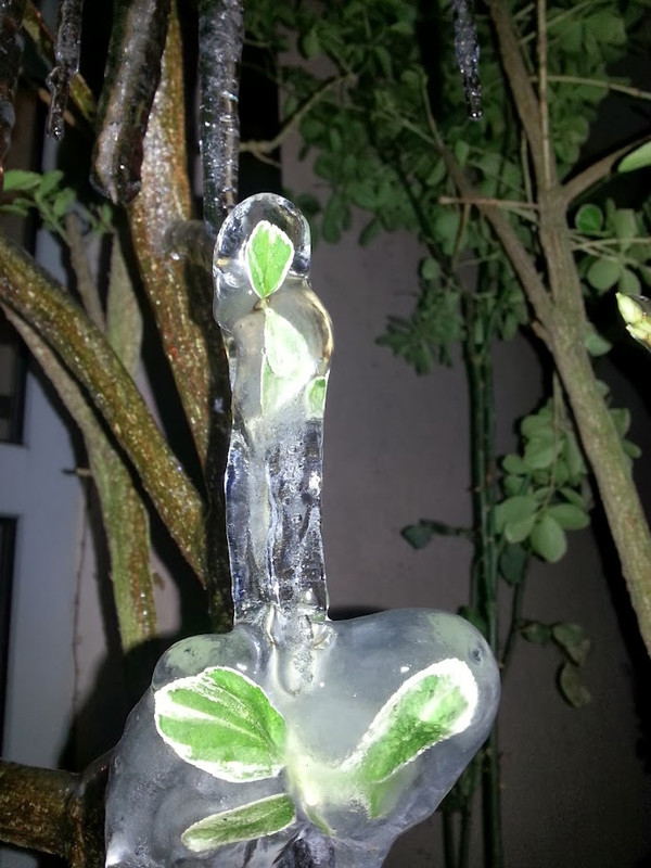 20140130 185928